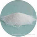 Sell Chinese high quality betaine anhydrous trimethylglycine