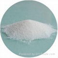 Cheap and high quality Trimethylglycine 