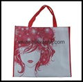 Non-woven reusable eco-friendly shopping bag 