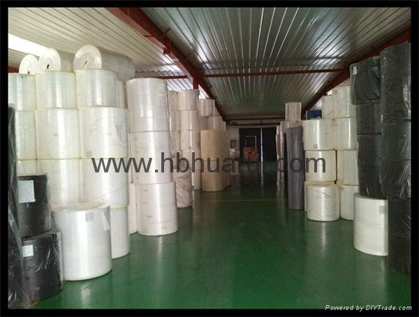 Eco-friendly Polypropylene PP Spunbond Non-woven Fabrics Made in China 5