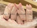 Frozen Pork ears and other pork Parts