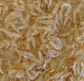 dried shrimp