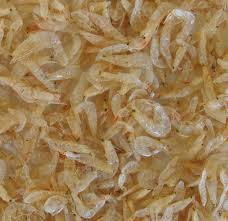 dried shrimp