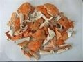 Dried crab shell 2