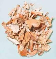 Dried crab shell 3