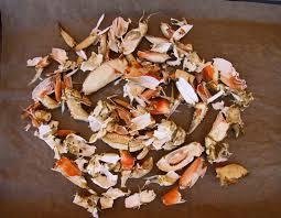 Dried crab shell 5