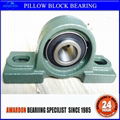 pillow block bearing