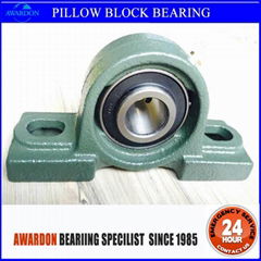 pillow block bearing