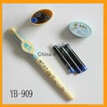 Advertising Logo Customized Plastic cheap fountain pen 2