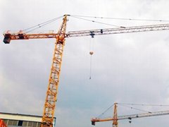 Small Top Slewing 2.5t Building Tower Crane 800kg tip load