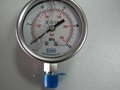 Hydrogen oil-filled pressure gauge 2