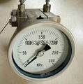 Double diaphragm high static pressure gauge