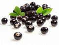 Acai Berry Extract