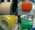 prepainted steel in coil