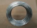 sus304 sus316 Stainless Steel Wire china
