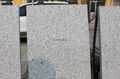 New G603 light grey granite slabs tiles paving stone wall stone 4