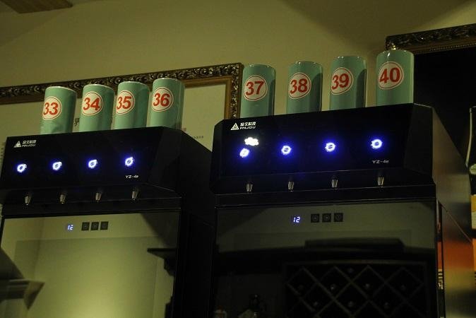 Commercial Wine Dispenser