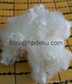 Fibre polyester fibre