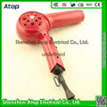 Variable Speed Brushless DC Motor Professional Electric Hair Dryer 2