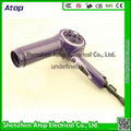 Variable Speed Brushless DC Motor Professional Electric Hair Dryer 3