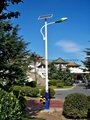 武漢歐爾6米30瓦太陽能路燈 1
