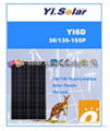 150W Solar Panel Poly crystalline IEC