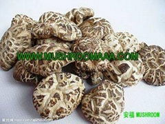 Dried Shiitake Mushroom