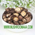 ,Dried Shiitake Chinese Mushroom