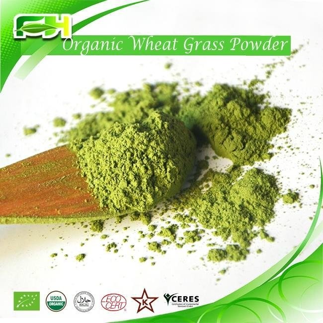 Organic Wheat Grass Powder/juice Powder