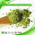 Organic Wheat Grass Powder/juice Powder 1
