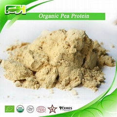 Organic Pea Protein Powder