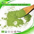 Organic Kale Powder 1