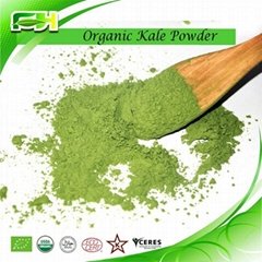 Organic Kale Powder
