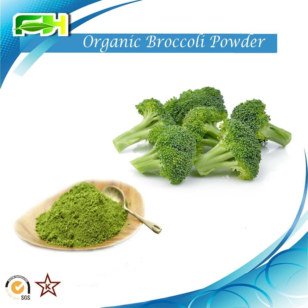 Broccoli extract Organic Broccoli Powder FHG06 FH (China