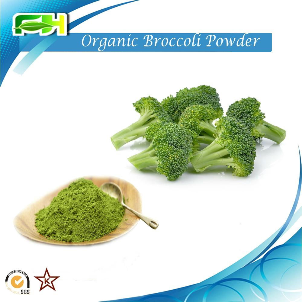 Broccoli extract Organic Broccoli Powder 