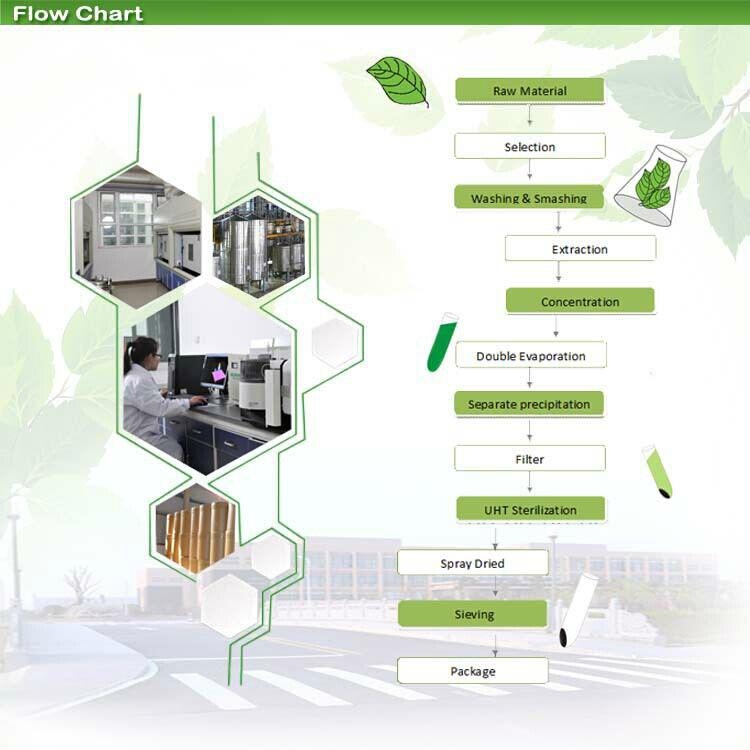 Organic Oat Gass Powder/Oat Grass Juice Powder FHG08 FH (China