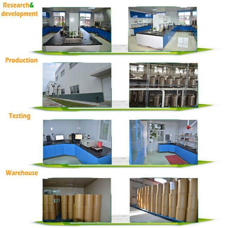 Organic Oat Gass Powder/Oat Grass Juice Powder FHG08 FH (China