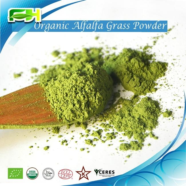 Organic Oat Gass Powder/Oat Grass Juice Powder FHG08 FH (China