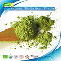 Organic Oat Gass Powder/Oat Grass Juice Powder