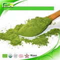 Organic Alfalfa Grass Juice Powder 1