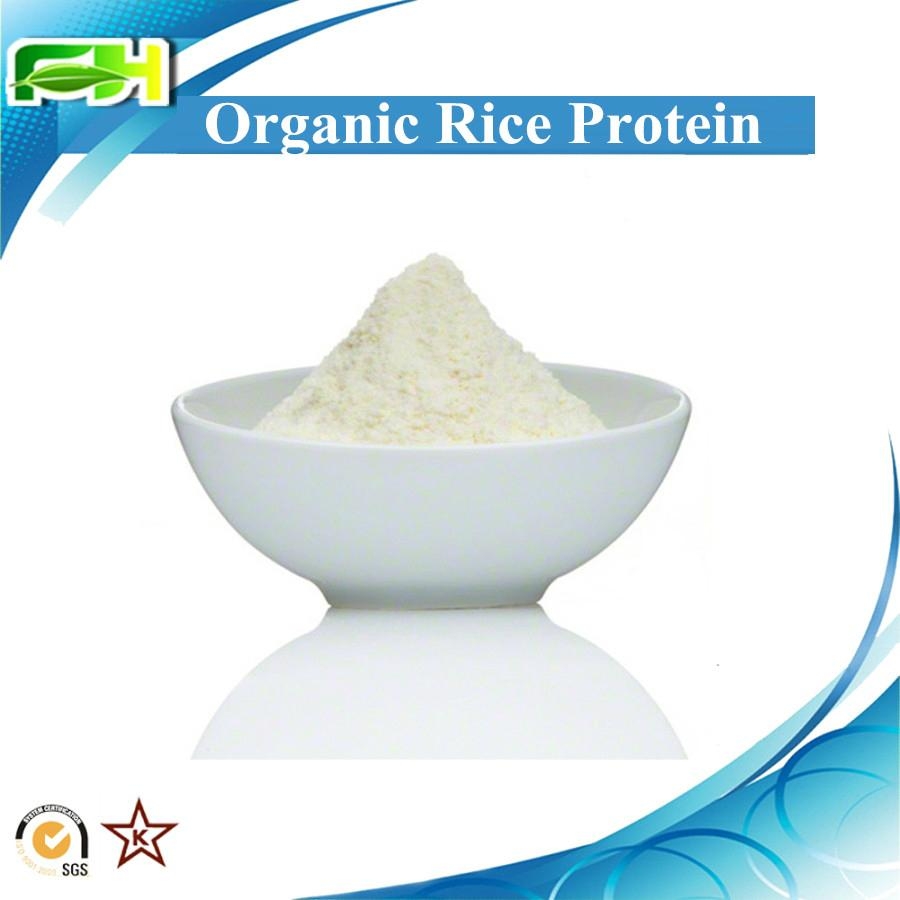 Organic Rice Protein Powder FHG10 FH (China Manufacturer) Health