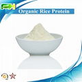 Organic Rice Protein Powder 1