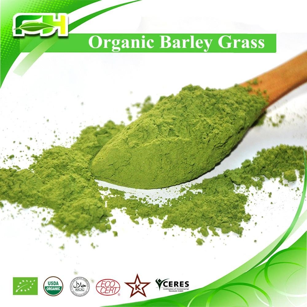 Organic Barley Grass juice Powder 