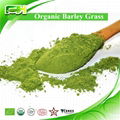 Organic Barley Grass juice Powder  1