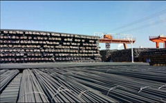 Professional Manufacture Deformed Steel Bar