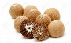 BETEL NUT (Areca catechu) at HIGH QUALITY, COMPETITION PRICE