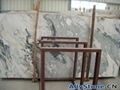 Arabescato Vagli Marble 1