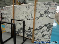 Arabescato Marble