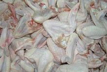 HALAL FROZEN CHICKEN 1