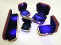 High quanlity jewel PU case with LED Bulbs 5